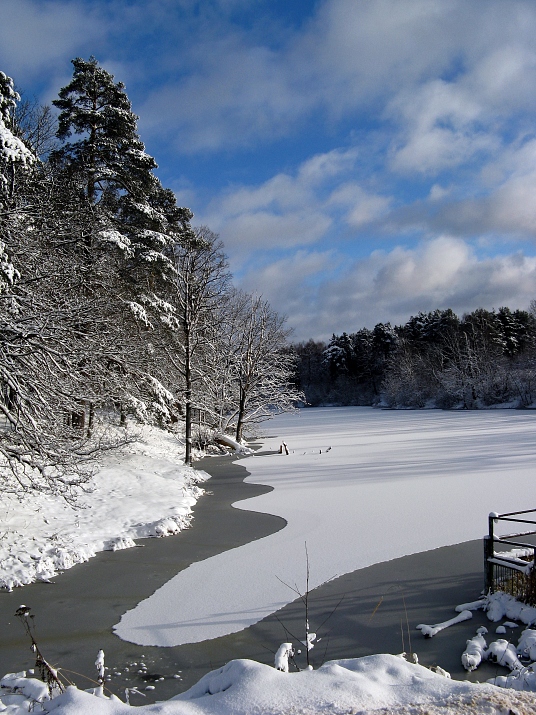 photo "November, first ice" tags: landscape, autumn