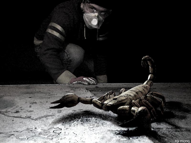 photo "scorpion in garage" tags: montage, abstract, 
