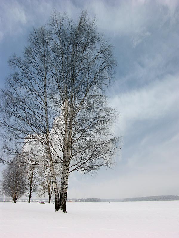 photo "***" tags: landscape, 