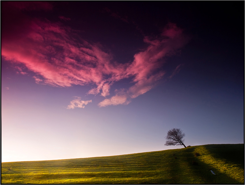 photo "The road to loneliness" tags: landscape, 