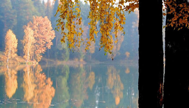 photo "***" tags: landscape, autumn, forest