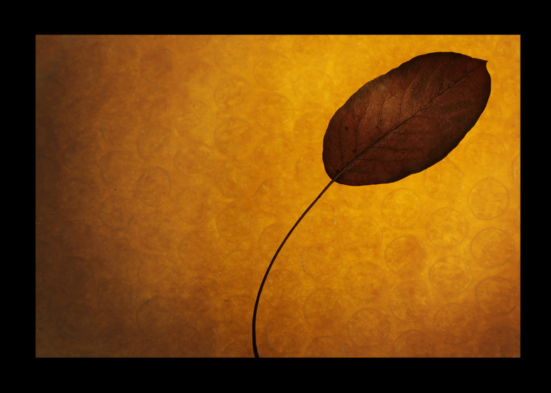photo "." tags: abstract, 