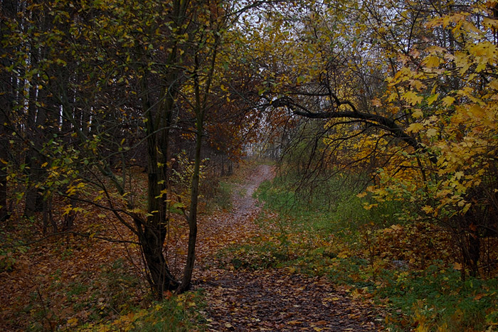 photo "***" tags: landscape, autumn