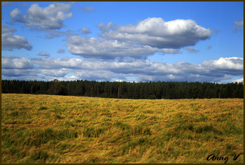 photo "поле" tags: landscape, autumn