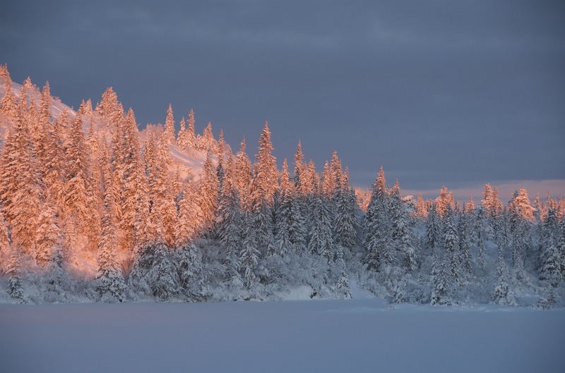 фото "sunrise and snow" метки: пейзаж, горы, закат