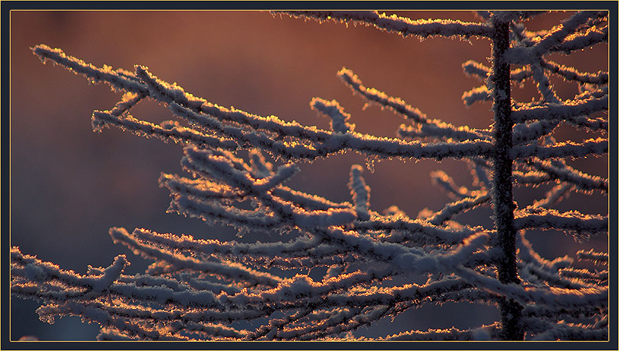 фото "Утренний этюд" метки: пейзаж, закат, зима