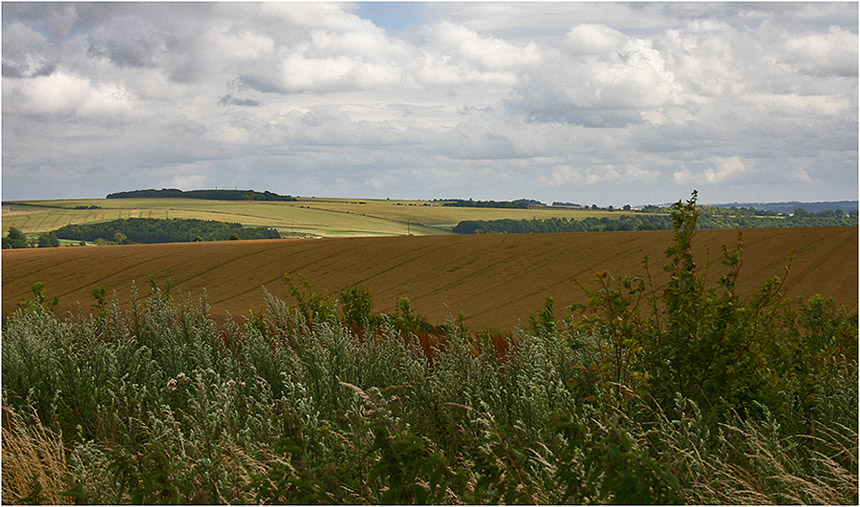 photo "Multi-coloured a field" tags: landscape, travel, Europe, autumn