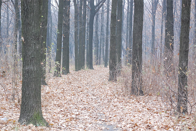 photo "***" tags: landscape, autumn