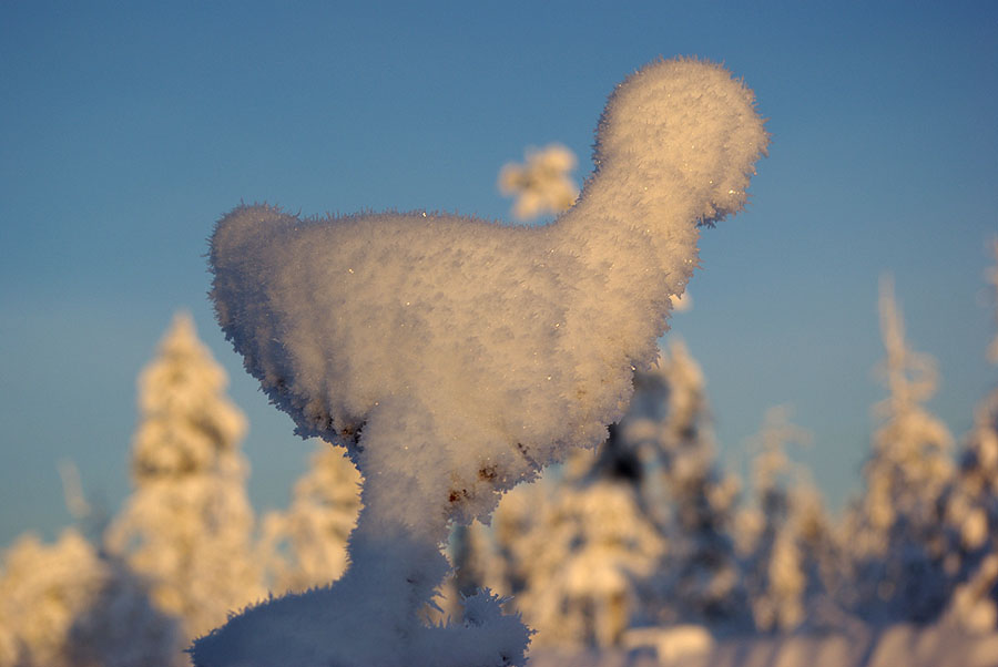 photo "***" tags: nature, landscape, winter