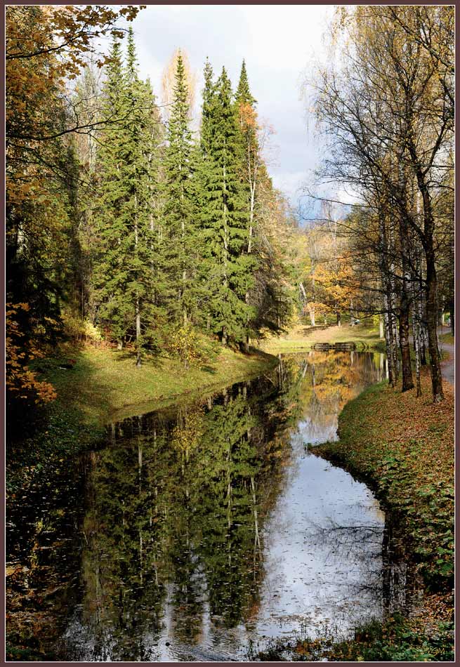 photo "Reflections" tags: landscape, autumn