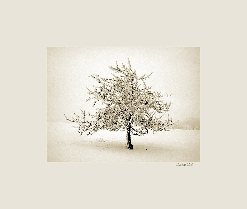 photo "winter soul" tags: landscape, winter