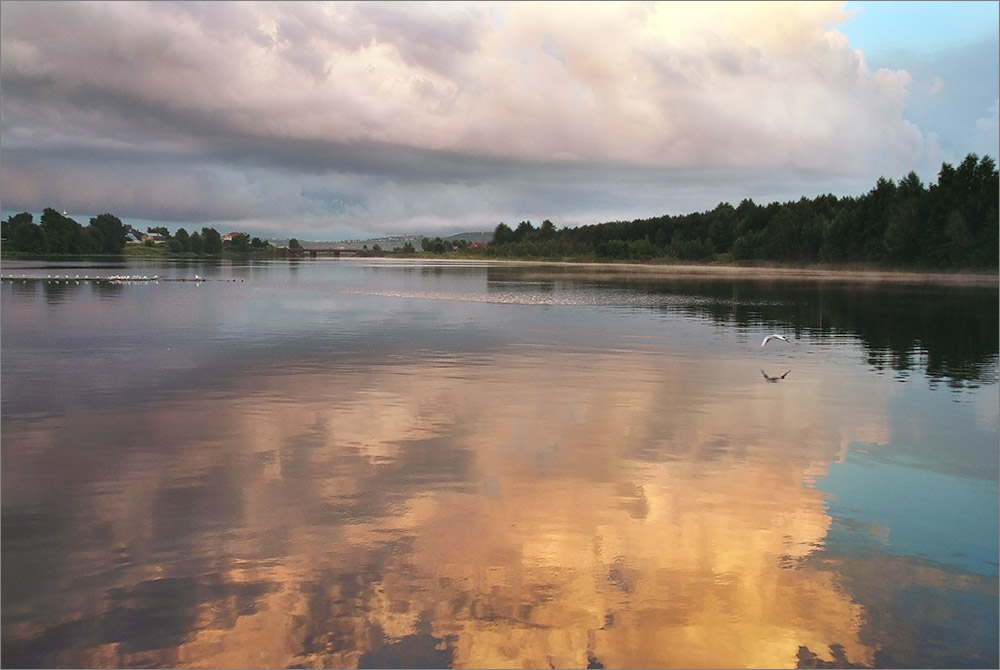 photo "After a rain" tags: landscape, 