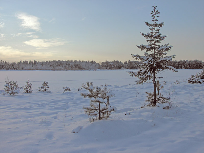 photo "***" tags: landscape, winter