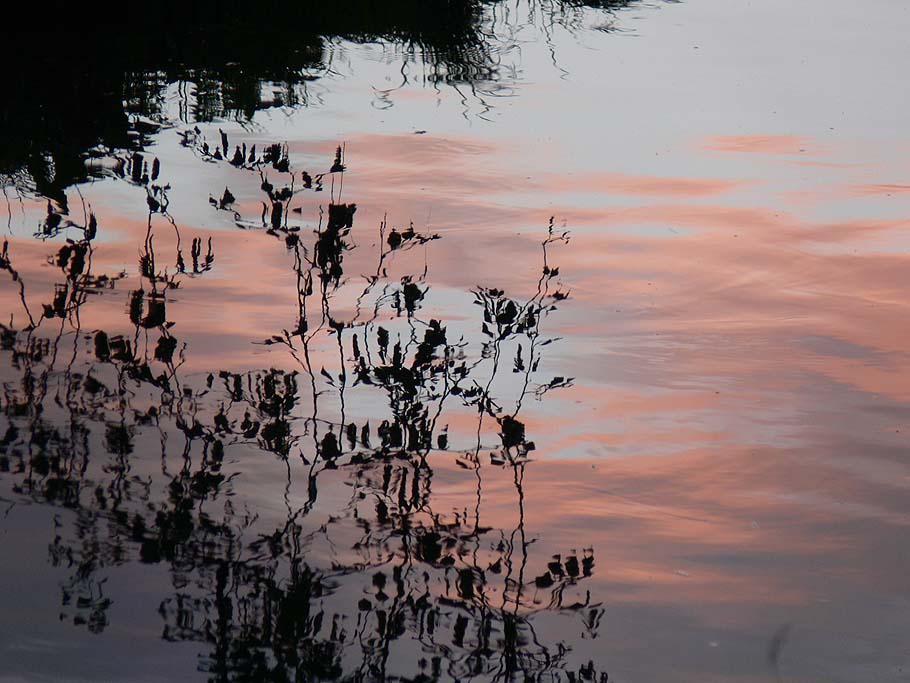 photo "***" tags: landscape, sunset, water