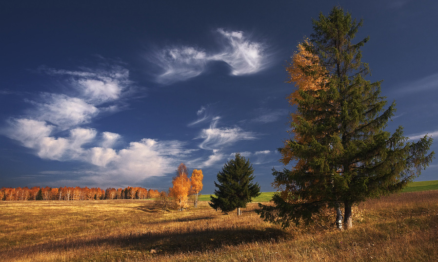 photo "***" tags: landscape, autumn