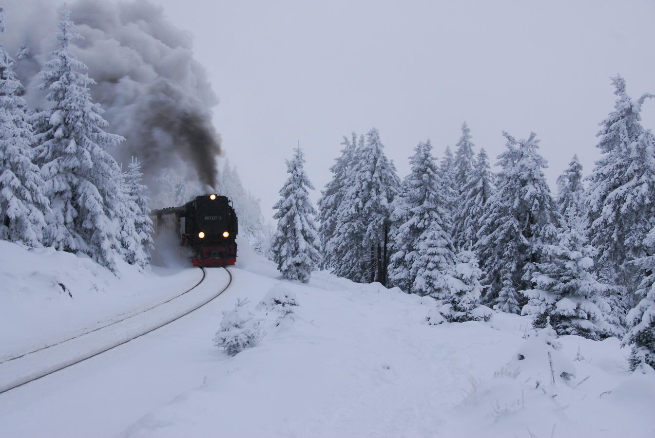 photo "The train is comming" tags: landscape, forest