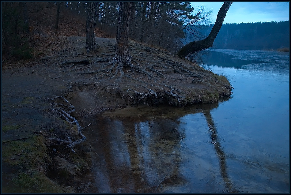 photo "Thin ice." tags: landscape, water, winter