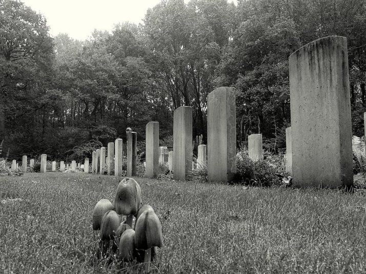 photo "cemetery with mushrooms." tags: black&white, 