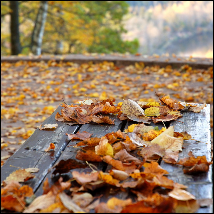 photo "***" tags: landscape, autumn