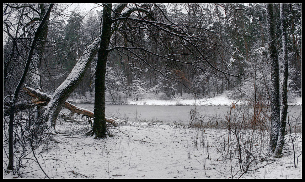 photo "Winter is preparing scenery" tags: landscape, winter