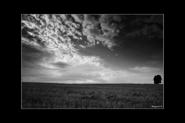 photo "..." tags: landscape, clouds, forest