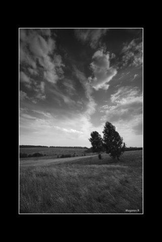 photo "..." tags: landscape, clouds, forest