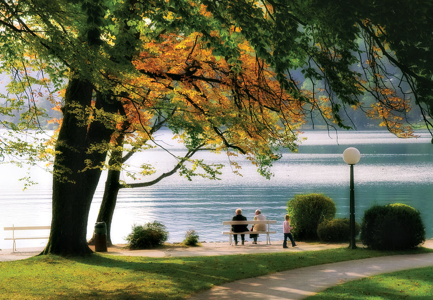 photo "***" tags: landscape, autumn