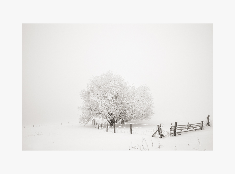 фото "a winter's tale II" метки: пейзаж, черно-белые, зима
