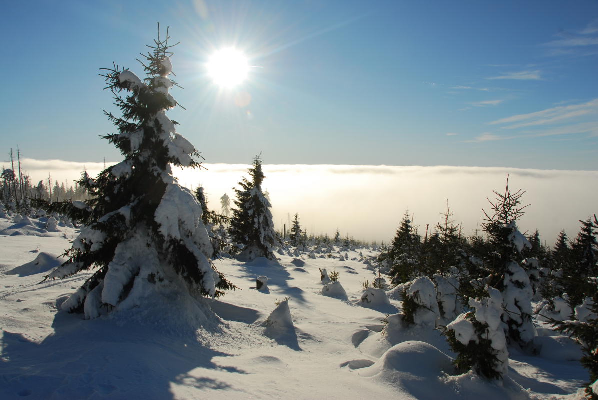 photo "beyond the fog and duty" tags: landscape, winter