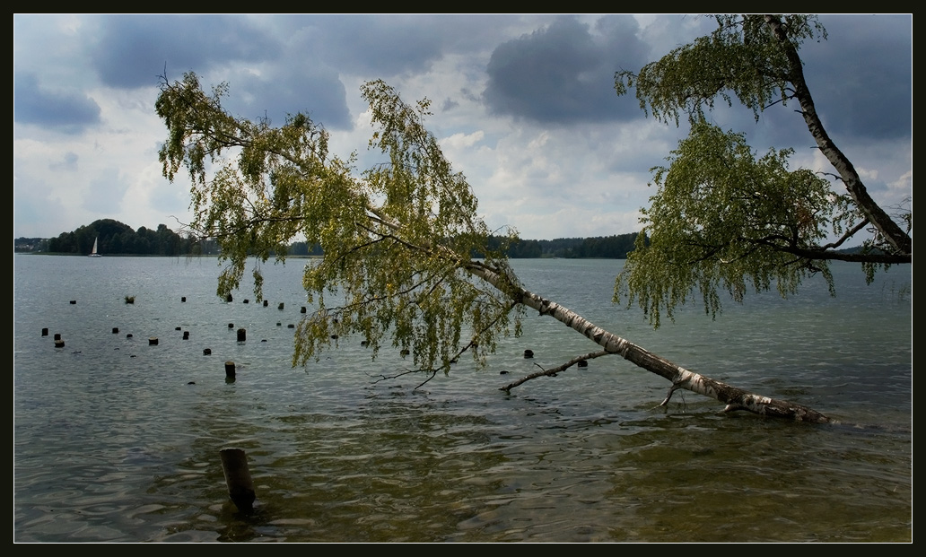 photo "Kowtow." tags: landscape, water
