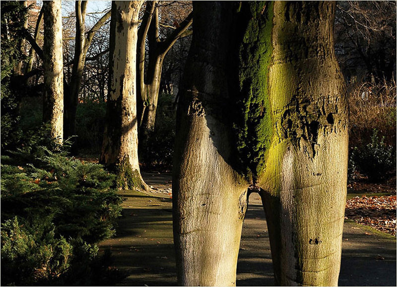 фото "In walking" метки: фотомонтаж, 