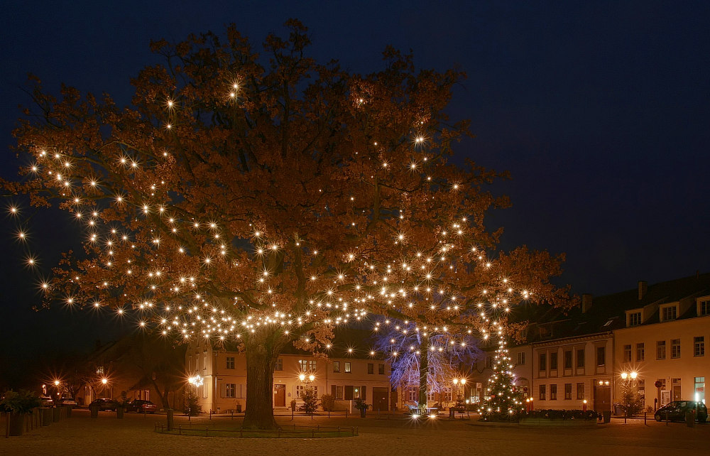 фото "Christmastree" метки: пейзаж, ночь