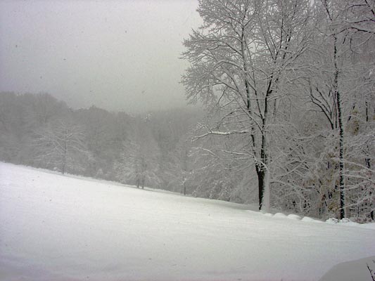 фото "Winter" метки: пейзаж, зима