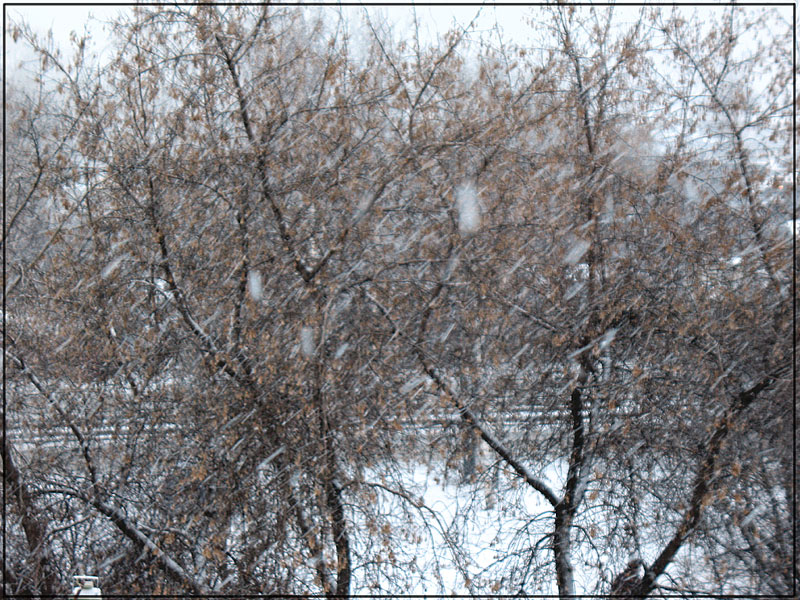 фото "Метель на улице "Нагорная"" метки: пейзаж, зима