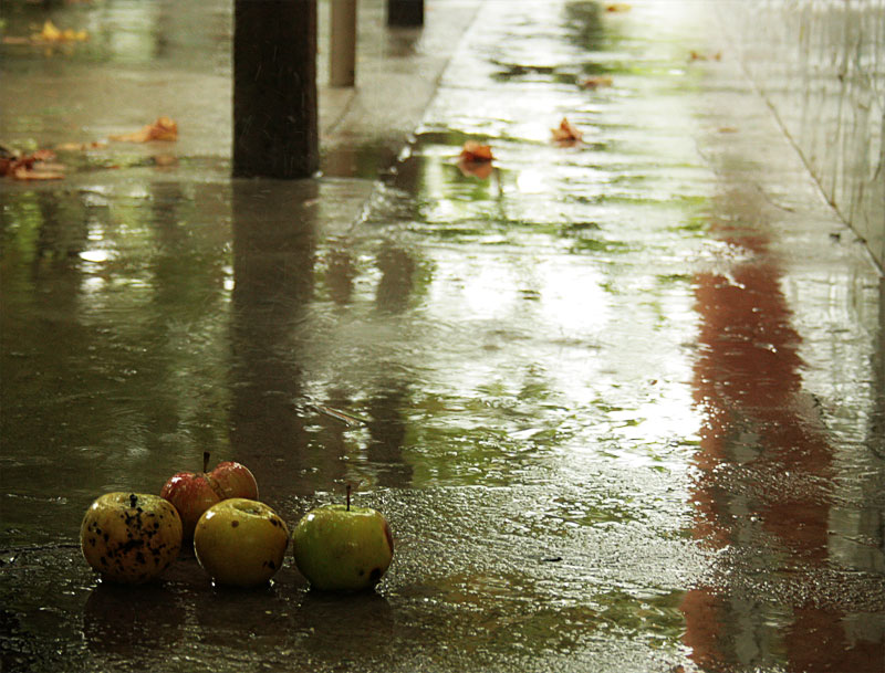 photo "we are so lone and cold" tags: still life, 