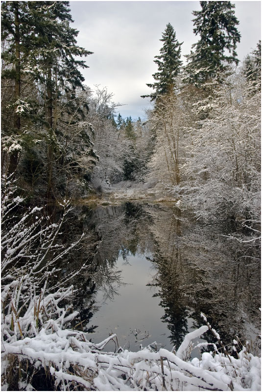 photo "Winter's reflections" tags: landscape, water, winter
