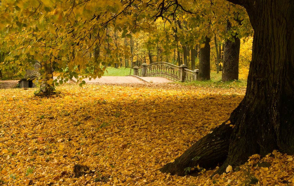 photo "***" tags: landscape, autumn