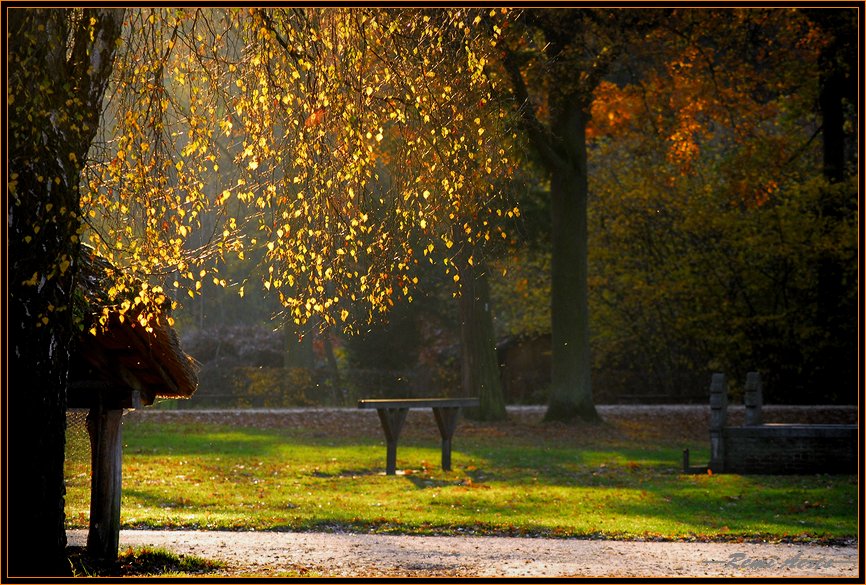 фото "against the sun" метки: пейзаж, архитектура, осень