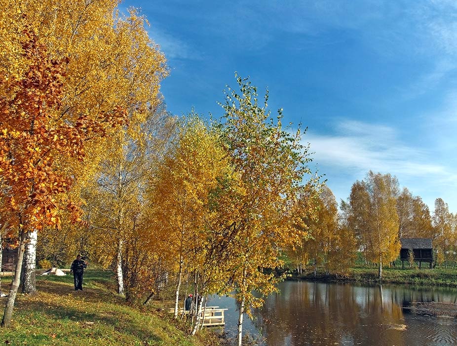 фото "золотые деньки" метки: пейзаж, осень