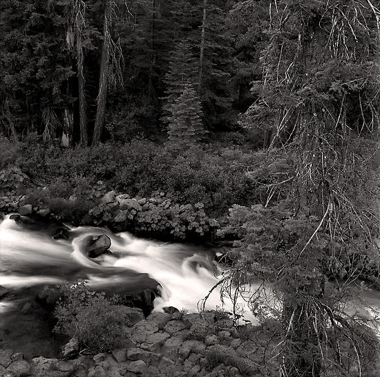photo "McCloud River" tags: landscape, travel, North America, water