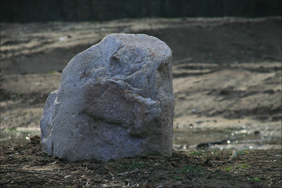 photo "Stone smile." tags: misc., still life, 