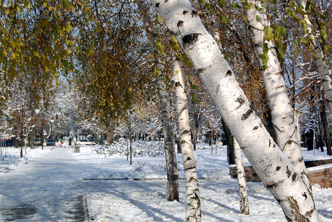 photo "***" tags: landscape, winter