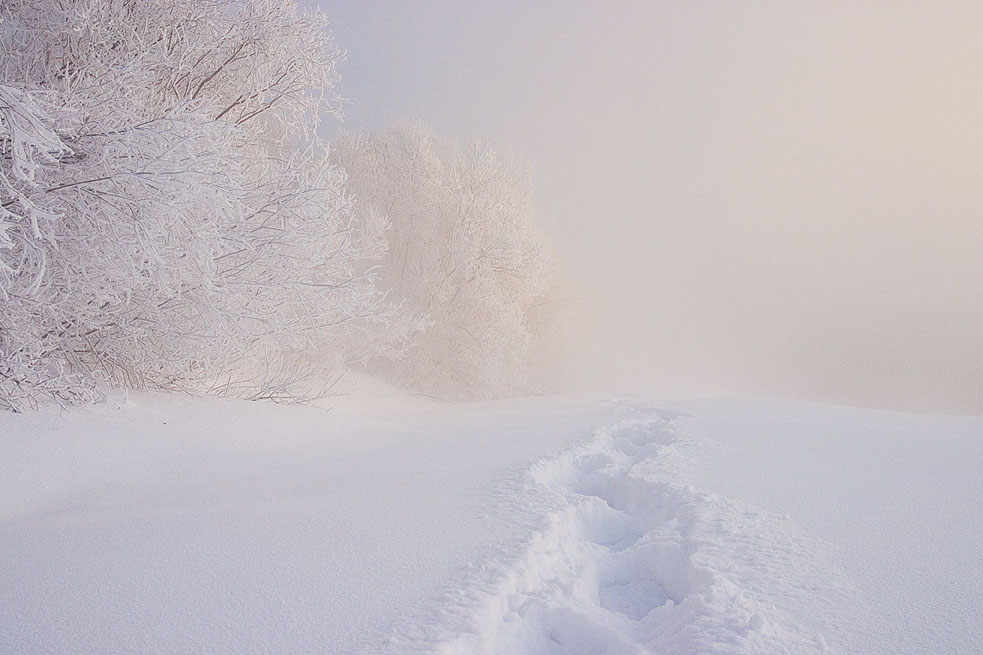 photo "***" tags: landscape, winter