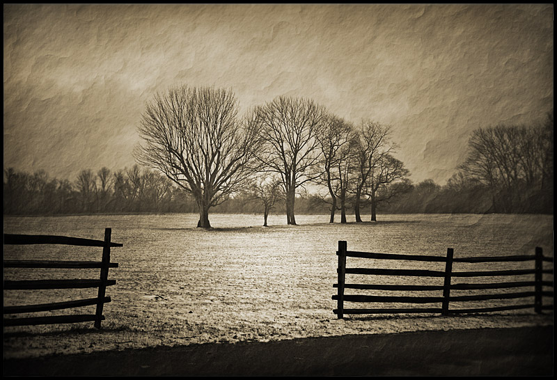 photo "Princeton battlefield" tags: landscape, travel, North America, winter