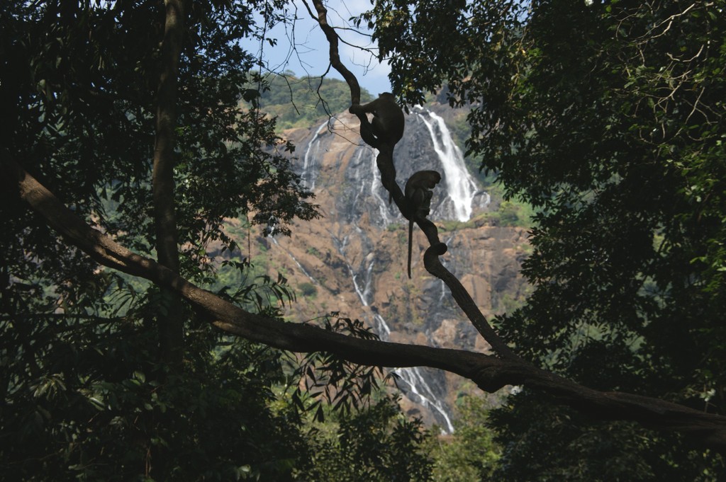 photo "At the waterfall of Dudkhsagar" tags: landscape, travel, Asia