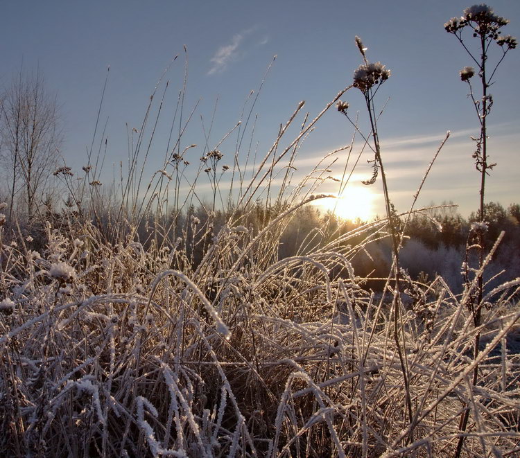 photo "***" tags: landscape, winter