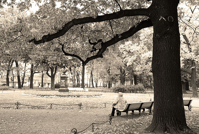 фото "петербургская осень" метки: пейзаж, черно-белые, осень