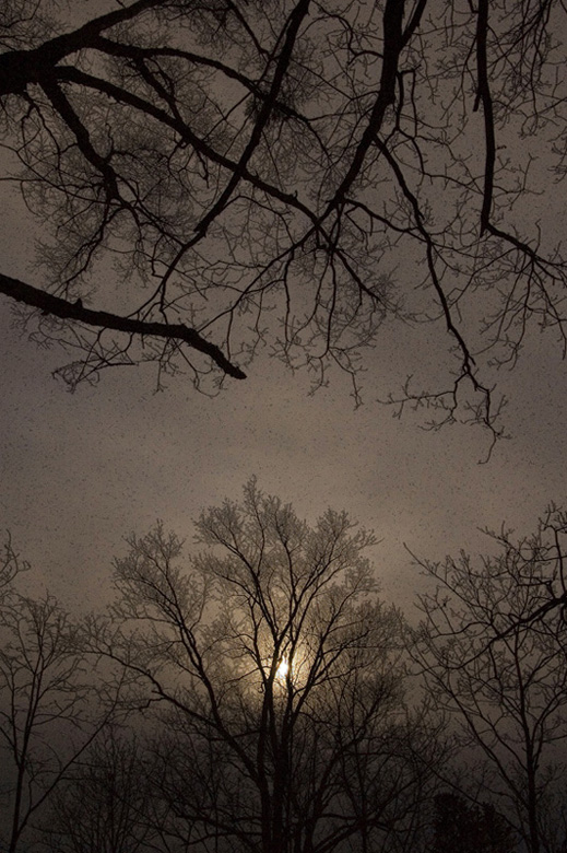 фото "ночь длиннее дня..." метки: пейзаж, зима