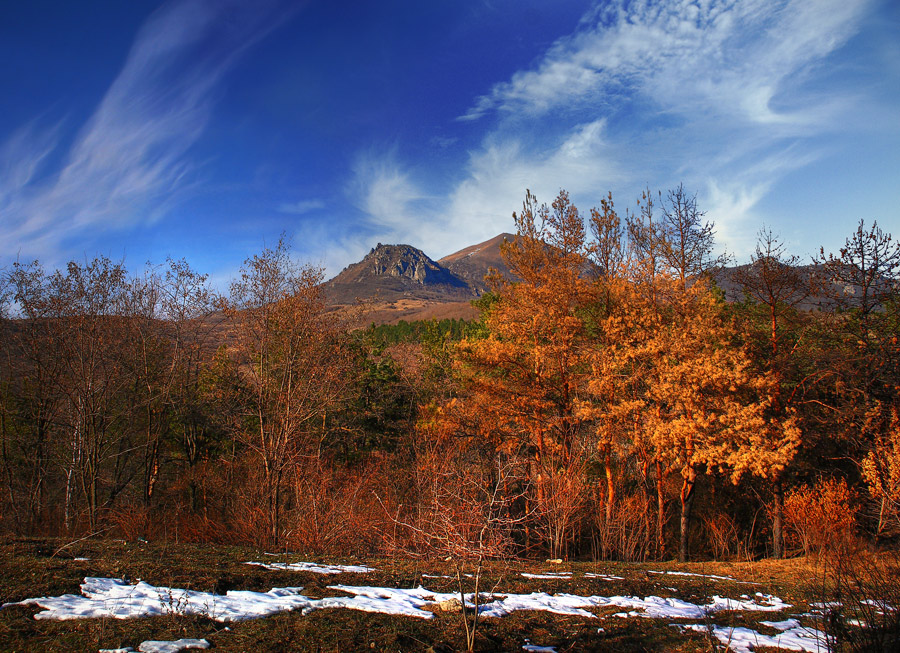 photo "Thaw" tags: landscape, winter