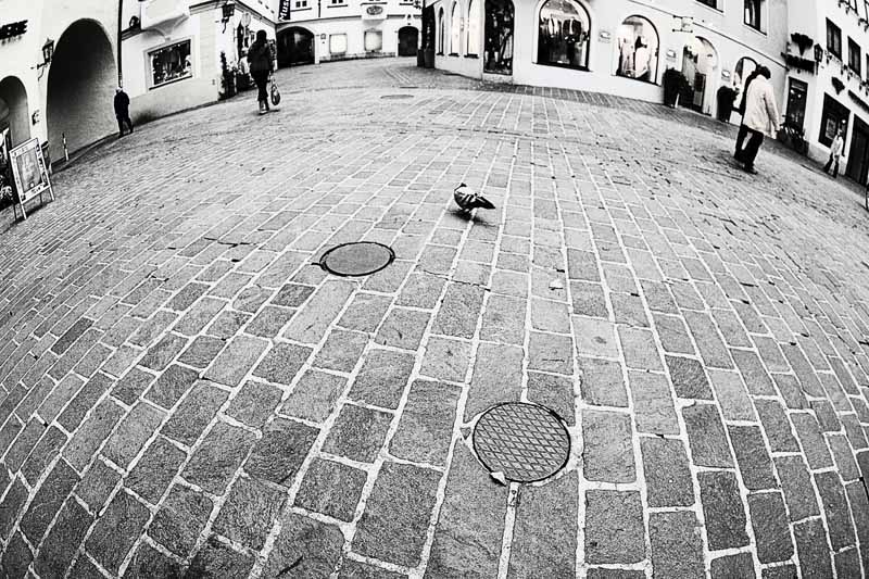 photo "Dove" tags: black&white, city, 